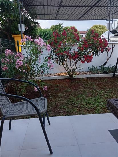 Apartments Rondine
