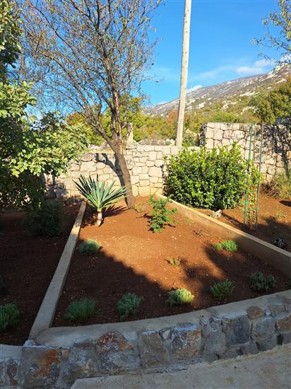 Apartments Ivni