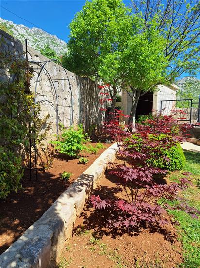 Apartments Ivni