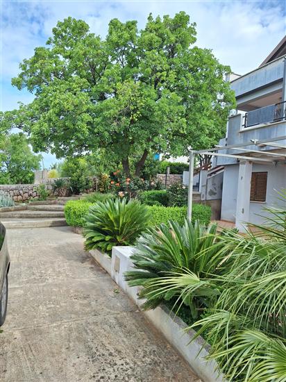 Apartments Ivni
