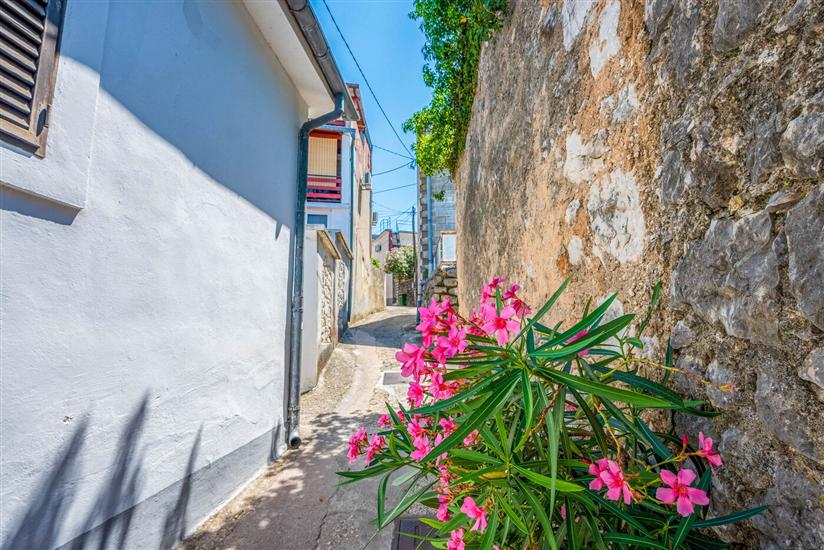 Apartment Duška