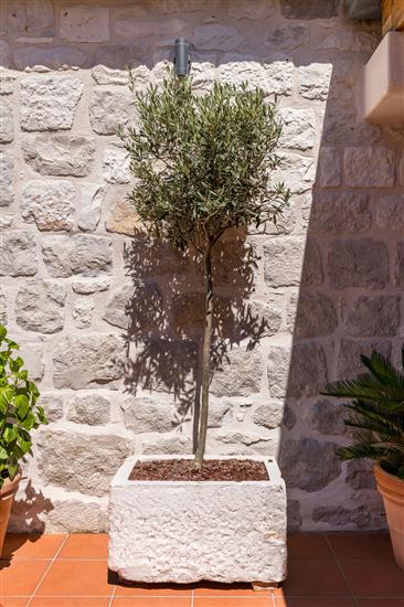 House K1, for 4 persons