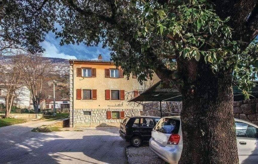 Apartment Nika