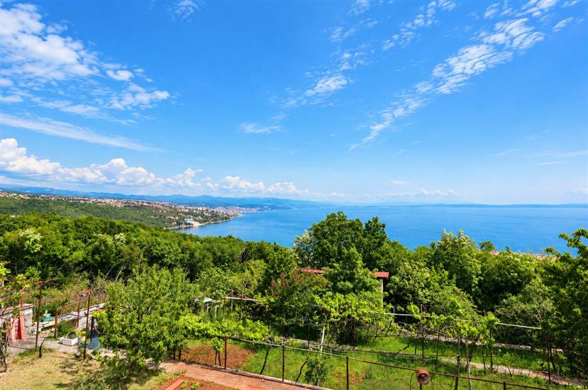 Apartment Mirela