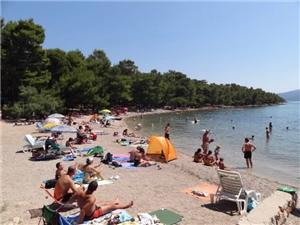 Apartments and Rooms Anita Vrboska - island Hvar, Size 50.00 m2, Airline distance to town centre 100 m