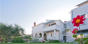 Apartmán - Privlaka (Zadar)
