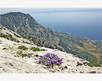 Mount Biokovo