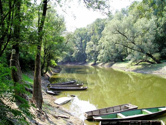 Lonjsko polje