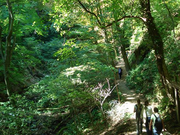 Medvednica (il monte di Zagabria)