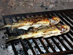 La  fête du poisson (Okrug Gornji) Mirca - île de Brac Fête populaire