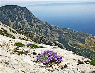 Nature park Mount Biokovo