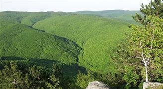 Nature park Papuk (Slavonian highlands)