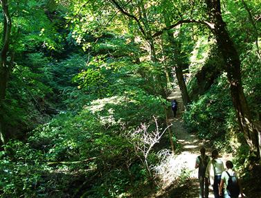 Parc naturel Medvednica (Zagrebacka gora)