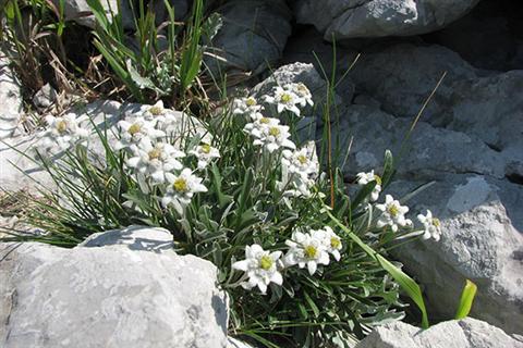 Each nature park offers a special experience which can be truly felt only by those who walked on the park paths.