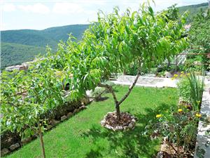 Apartments Elide Rabac, Size 65.00 m2, Airline distance to town centre 600 m