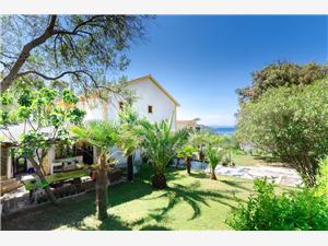 Apartment Kvarners islands,Book  Zorka From 92 €