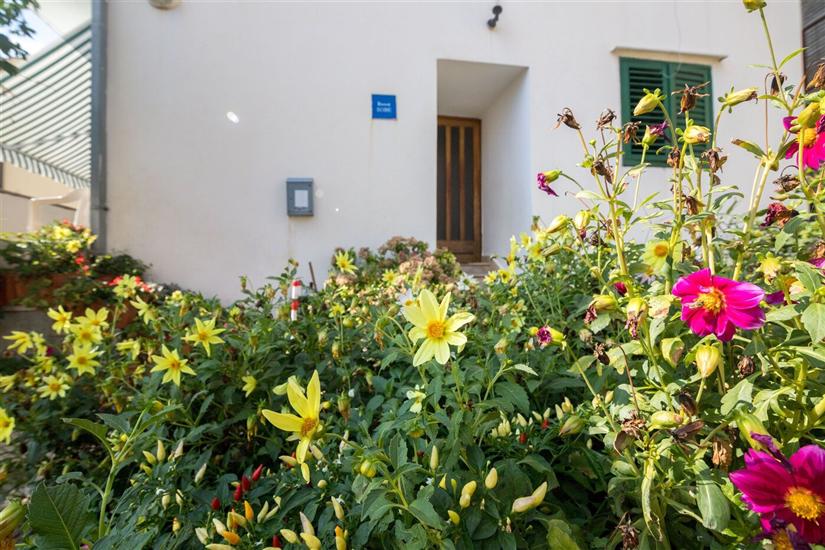 Apartmány Tolj