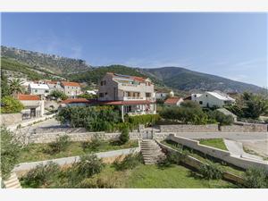 Apartments and Rooms LEA Dalmatia, Size 30.00 m2, Airline distance to the sea 150 m, Airline distance to town centre 200 m