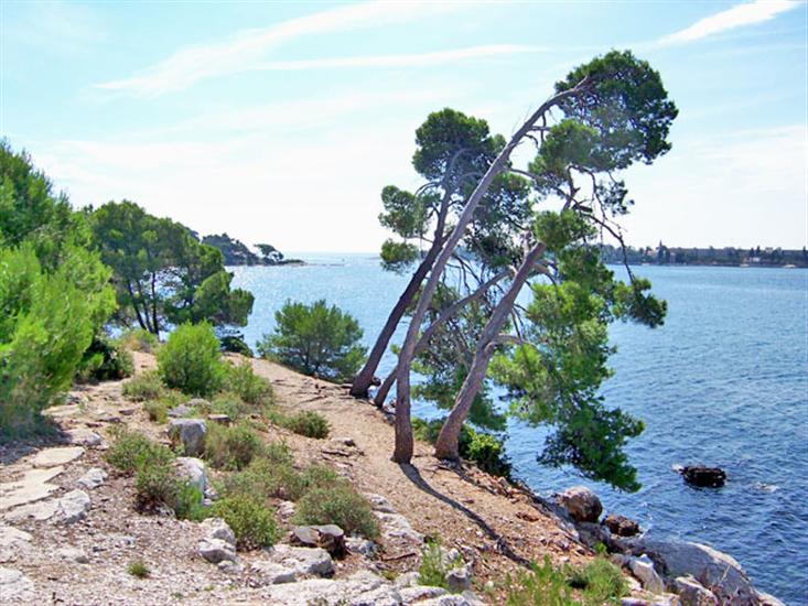 Plaže Crveni Otok - Rovinj | Plaže u Hrvatskoj
