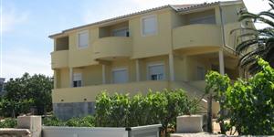 Apartman - Zdrelac - otok Pasman