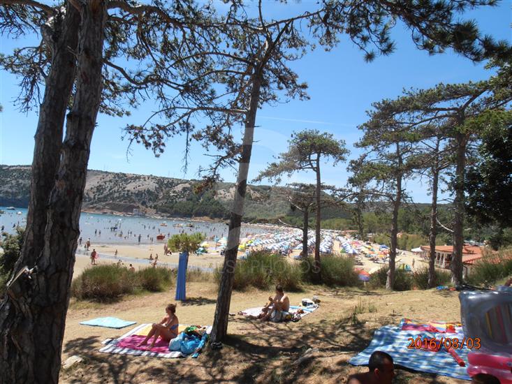 Möchten Sie Palit Insel Rab besuchen? Reiseführer