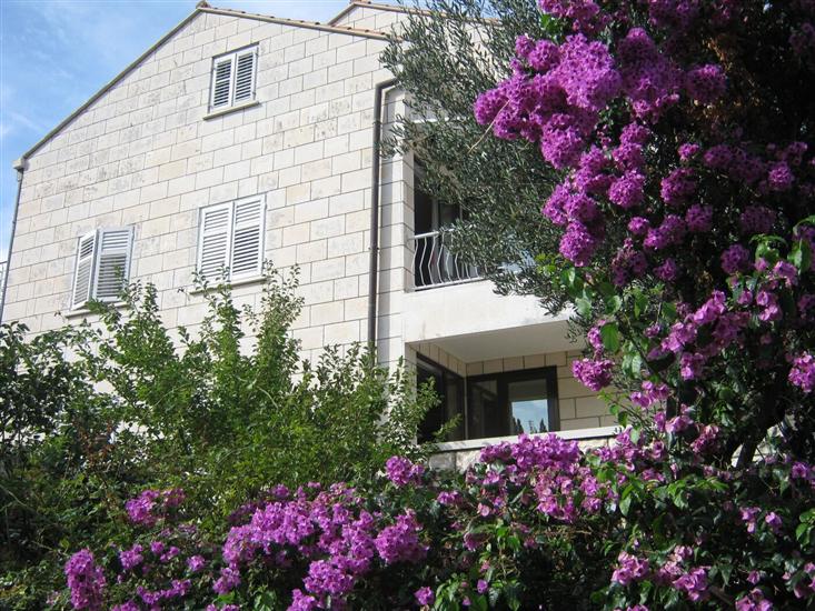 Apartment Ivica