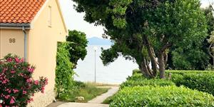 Apartman - Petrcane ( Zadar )