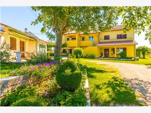 Grande Barban, Prostor 100,00 m2