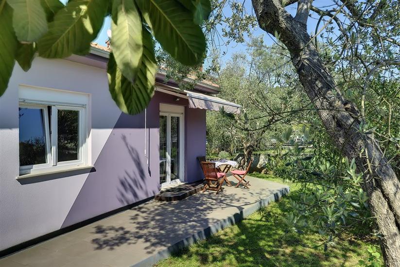 Casa Pelini