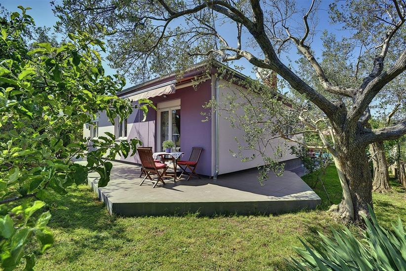 Casa Pelini