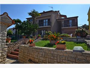 Apartments and Rooms Viktorija Istria, Size 16.00 m2, Airline distance to the sea 100 m, Airline distance to town centre 400 m