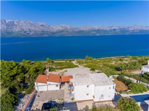 Apartamenty Rose Wyspy Dalmacji środkowej, Powierzchnia 45,00 m2, Odległość do morze mierzona drogą powietrzną wynosi 60 m, Odległość od centrum miasta, przez powietrze jest mierzona 300 m