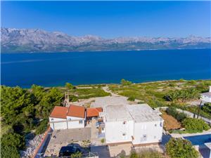 Apartma Srednjedalmatinski otoki,Rezerviraj  Rose Od 85 €