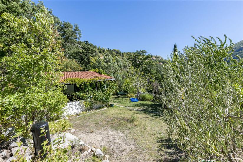 Haus Ela
