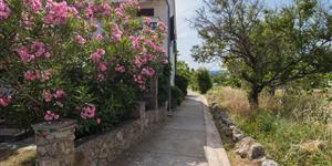 Apartman - Punat - Krk sziget