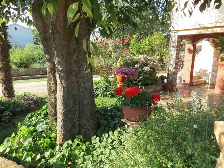 Apartament Mariza