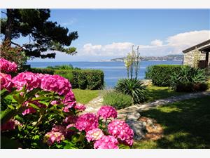 Apartmány Villa Ana Monterosso Modrá Istria, Rozloha 60,00 m2, Vzdušná vzdialenosť od mora 20 m