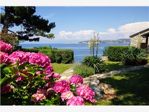 Ferienwohnungen Villa Ana Monterosso Blaue Istrien, Größe 60,00 m2, Luftlinie bis zum Meer 20 m