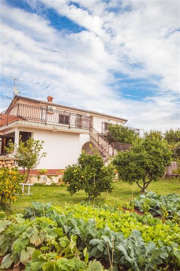Apartamenty i Pokój LUCIANA Savudrija