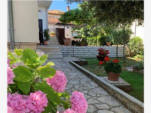 Prázdninové domy Modrá Istrie,Rezervuj  Dorina Od 1394 kč