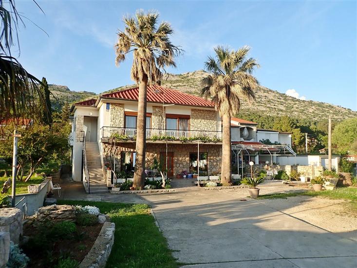 Apartmány 4 PALME-in the center of Starigrad