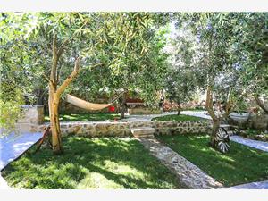 Accommodation with pool North Dalmatian islands,Book  Bongo From 56 €
