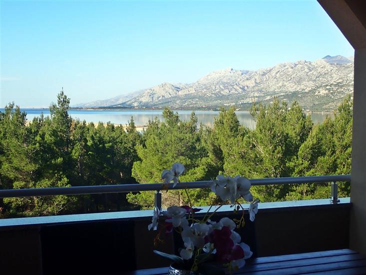 Apartman DANE-30 m from the pebble beach