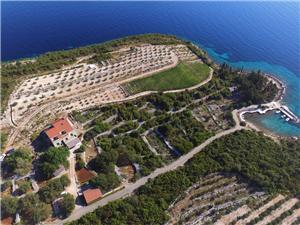 Appartement Les îles en Dalmatie du sud,Réservez  Koras De 112 €