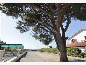 Apartmán Apartment Katarina with sea view Zambratija (Savudrija), Prostor 45,00 m2, Vzdušní vzdálenost od moře 50 m, Vzdušní vzdálenost od centra místa 200 m