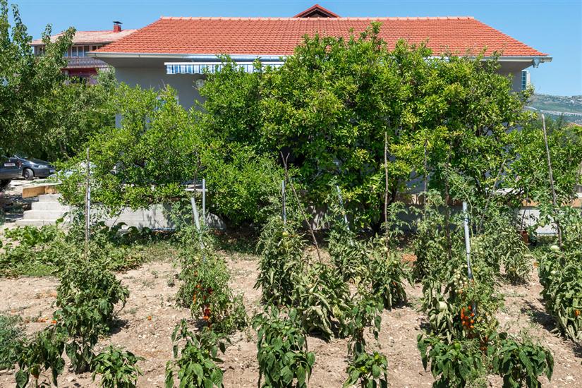 Kuća za odmor Marin