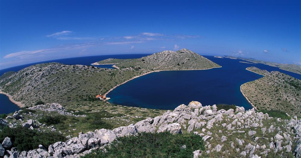 Vis