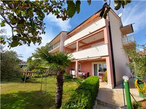 Apartments and Room Ivanka Petar Kvarners islands, Size 18.00 m2, Airline distance to town centre 400 m