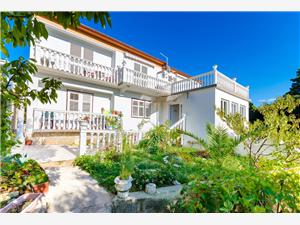 Apartment and Rooms Mladen P Banjol - island Rab, Size 20.00 m2, Airline distance to the sea 200 m, Airline distance to town centre 600 m