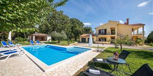 Appartement - Susnjici